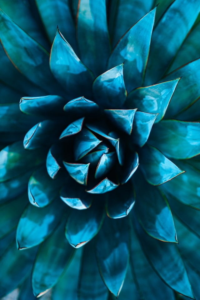 Source Background